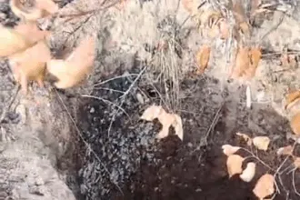 Fenda é identificada no Parque Estadual Serra Azul durante ações de combate a incêndio Fenda é identificada no Parque Estadual Serra Azul durante ações de combate a incêndio