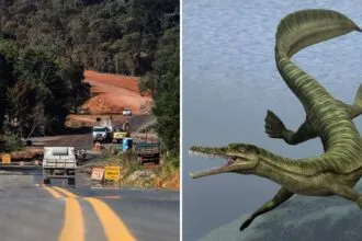 Obra de asfalto é paralisada no Paraná após descoberta de fósseis mais antigos que os dinossauros Obra de asfalto é paralisada no Paraná após descoberta de fósseis mais antigos que os dinossauros