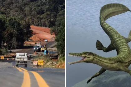Obra de asfalto é paralisada no Paraná após descoberta de fósseis mais antigos que os dinossauros