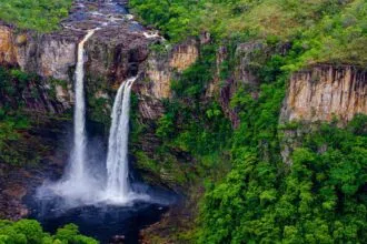 Bioma cerrado e a sua importância no equilíbrio ambiental do País Bioma cerrado e a sua importância no equilíbrio ambiental do País